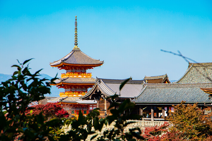 The view of Kyoto